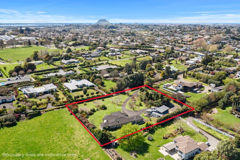 37B Moffat Road, Bethlehem, Tauranga - Carousel 29