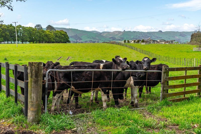 715B East Taratahi Road, Masterton - Carousel 14