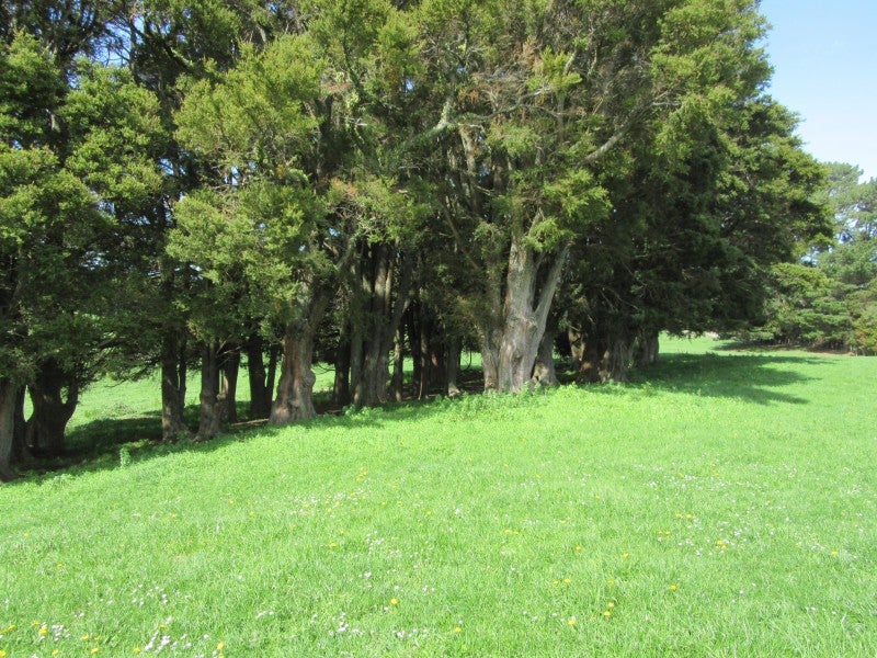 410 Mill Road, Ashley Clinton, Takapau - Carousel 1