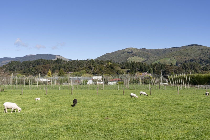 175 Umukuri Road, Brooklyn, Motueka - Carousel 20