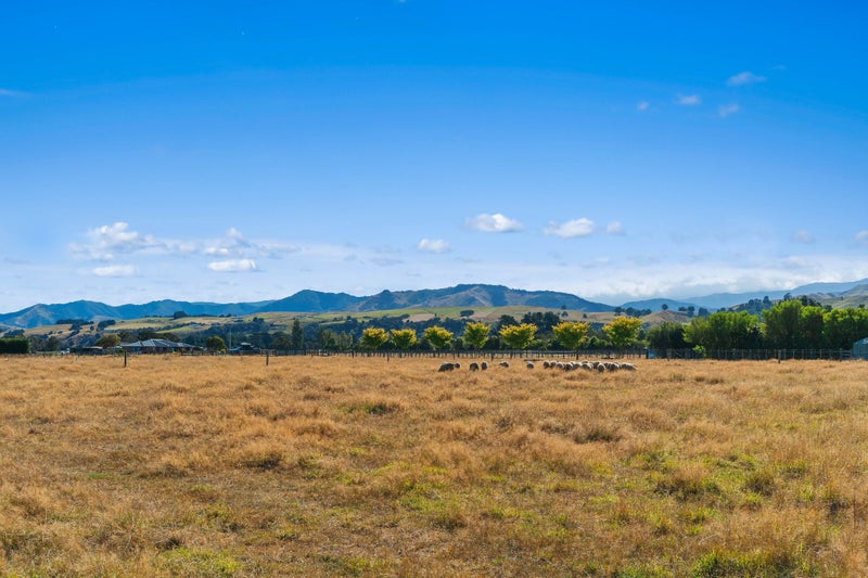 104 Jordan Road, Waingawa - Carousel 12