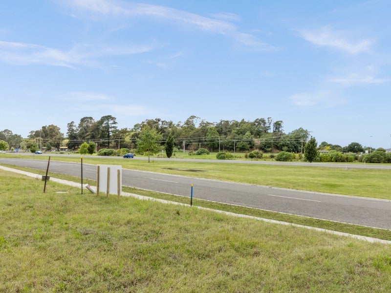 71 Oak Road, Poraiti, Napier - Carousel 6