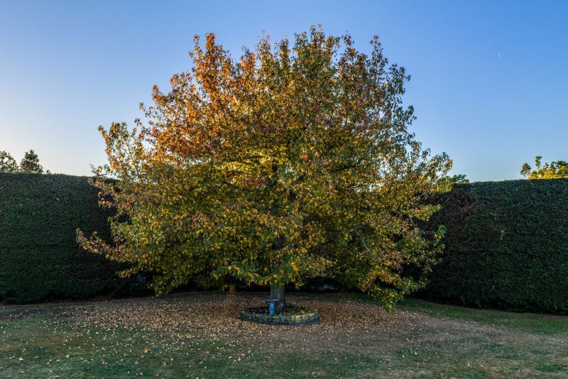 27 Pohutukawa Drive, Levin, Horowhenua, Manawatu / Whanganui - Carousel 32