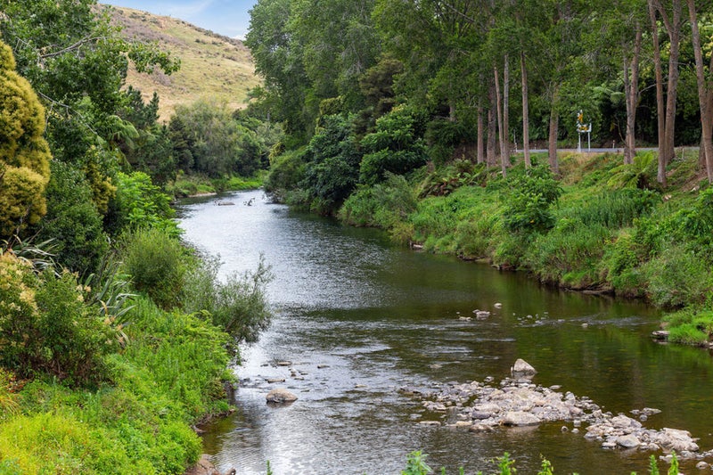 29A School Road, Paeroa - Carousel 19