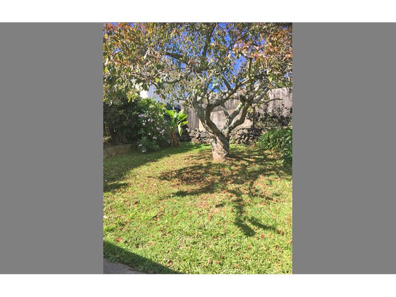 23 Panama Road, Mount Wellington, Auckland - Carousel 9