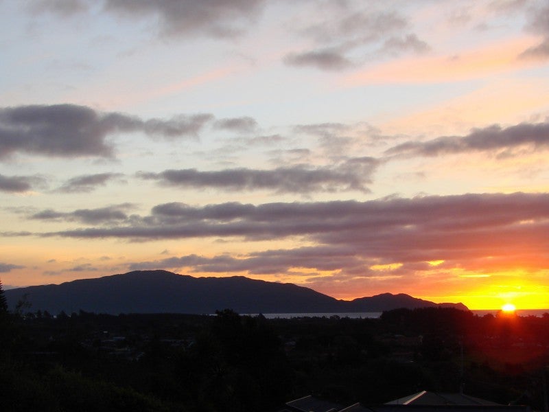 94 Winara Avenue, Waikanae - Carousel 21