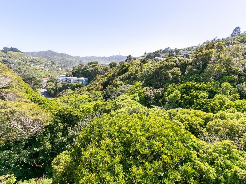 103A Warwick Street, Wilton, Wellington - Carousel 11