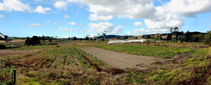 414 Whitford-Maraetai Road, Howick - Carousel 2