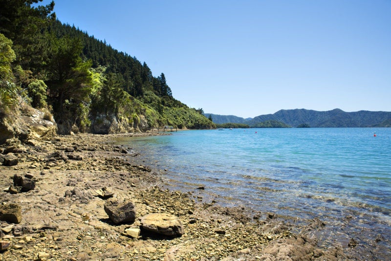 440 Port Underwood, WHATAMANGO BAY, PICTON - Carousel 35