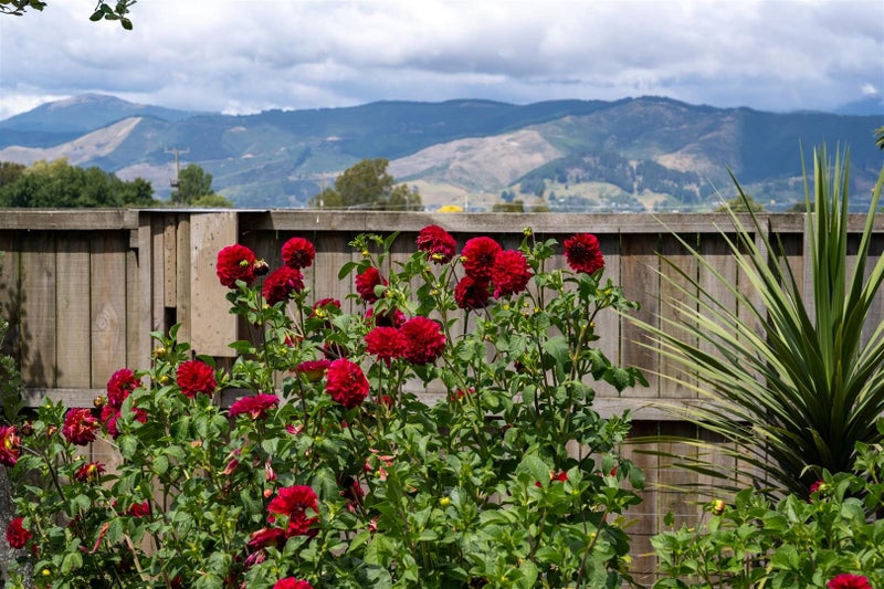 323 APPLEBY Highway, Appleby, Nelson - Carousel 50