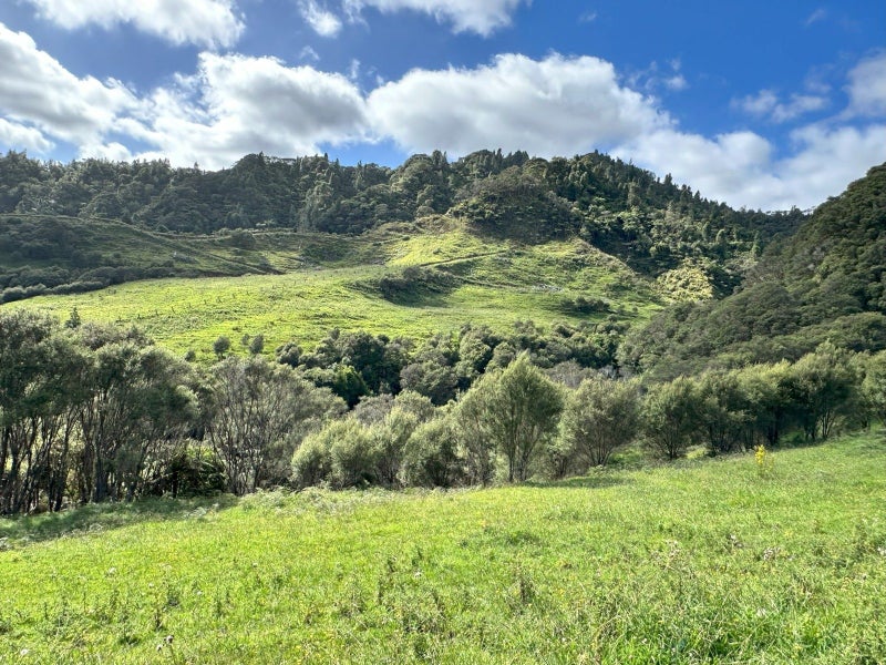 1045 Piko Road, Okoki, Urenui - Carousel 1
