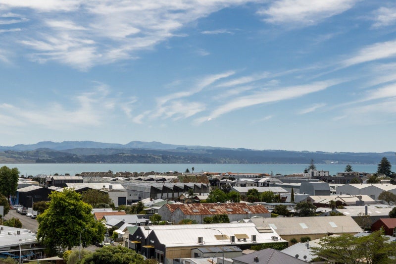 8 Goldsmith Road, Hospital Hill, Napier - Carousel 1