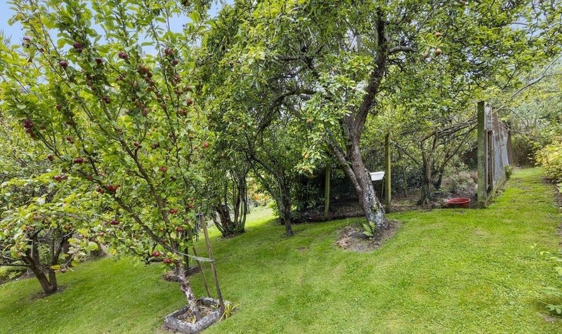 20 Holm Avenue, Broad Bay, Dunedin - Carousel 28