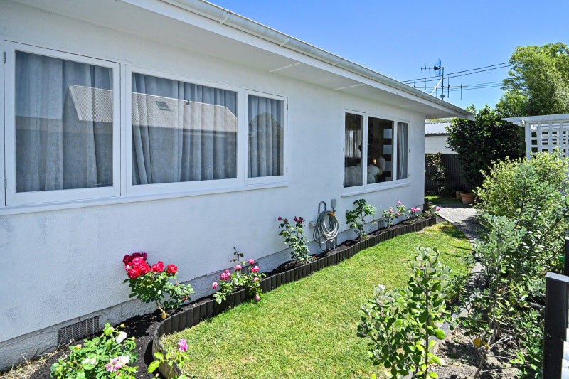 1/204A Park Road South, Akina, Hastings - Carousel 2