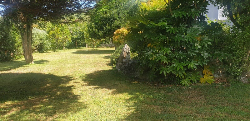 4 Takorika Street, Havelock - Carousel 2