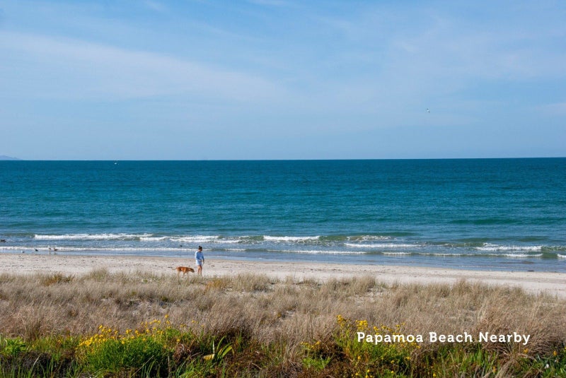 40 Excelsa Place, Papamoa Beach, Papamoa - Carousel 22