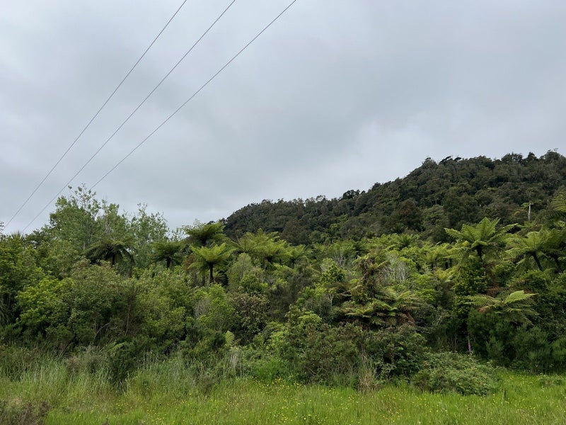 0 State Highway 6, Barrytown, Greymouth - Carousel 2