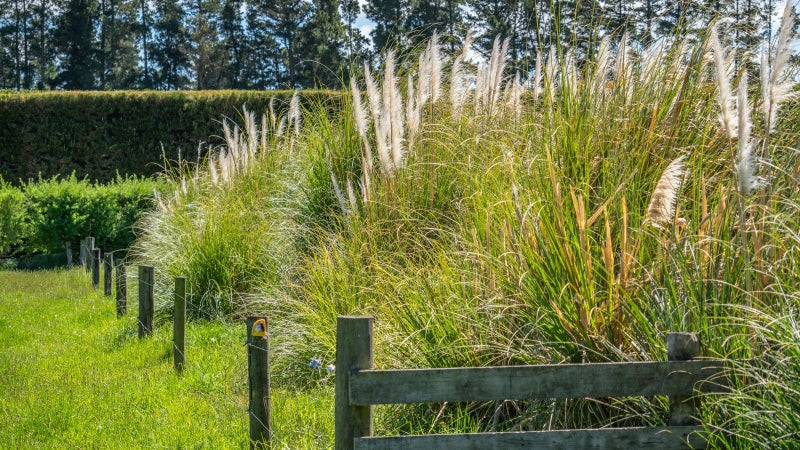 49 Ashworths Road, Amberley, Amberley - Carousel 33