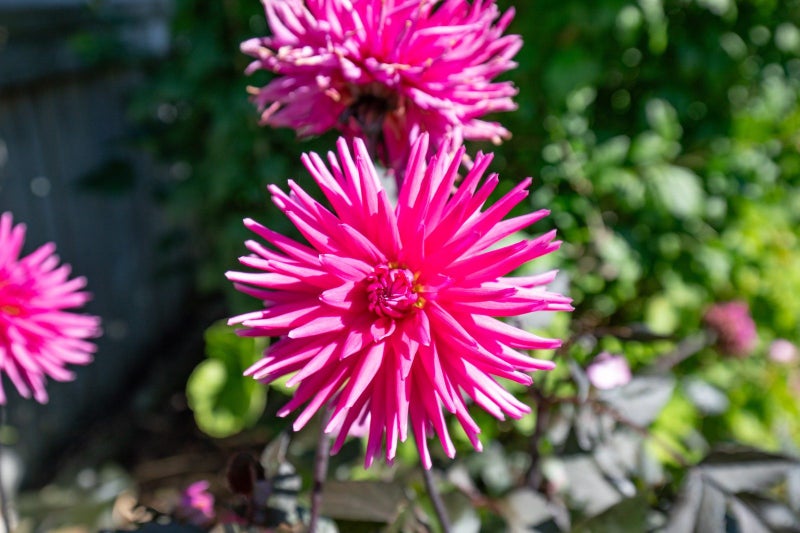 4 Piako Road, Turua, Ngatea - Carousel 22