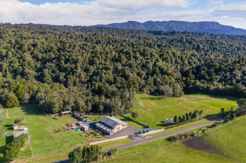 994 Work Road, Katikati - Carousel 2