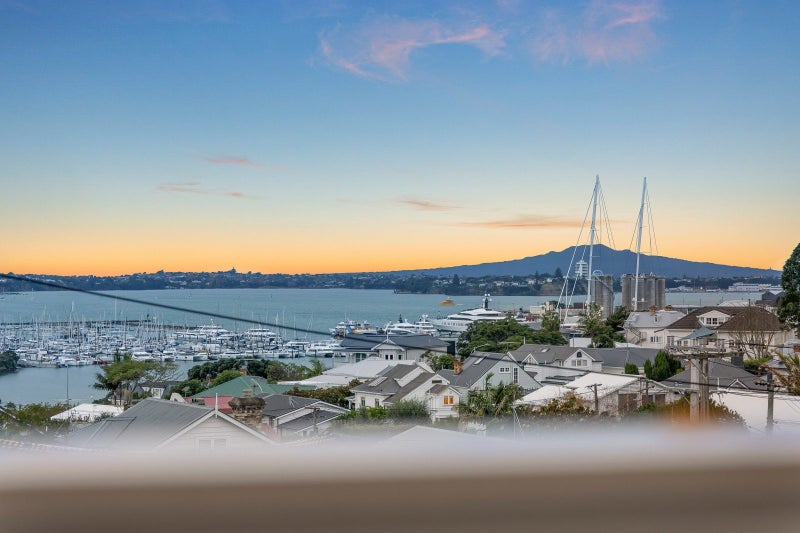 20 Seymour Street, Saint Marys Bay, Auckland - Carousel 2