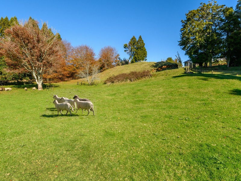 98 Glue Pot Road, Oropi, Tauranga - Carousel 2