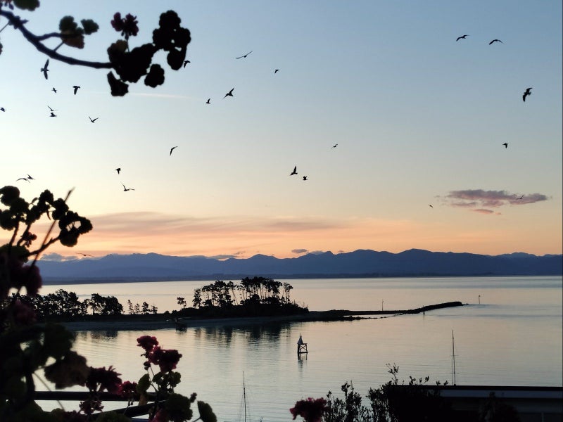 11 Fifeshire Crescent, Stepneyville, Nelson - Carousel 30