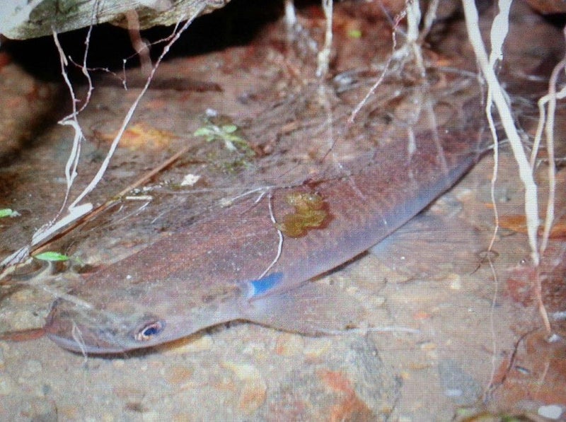 11 Hillcroft Road, HOROKIWI 5016, WELLINGTON - Carousel 21