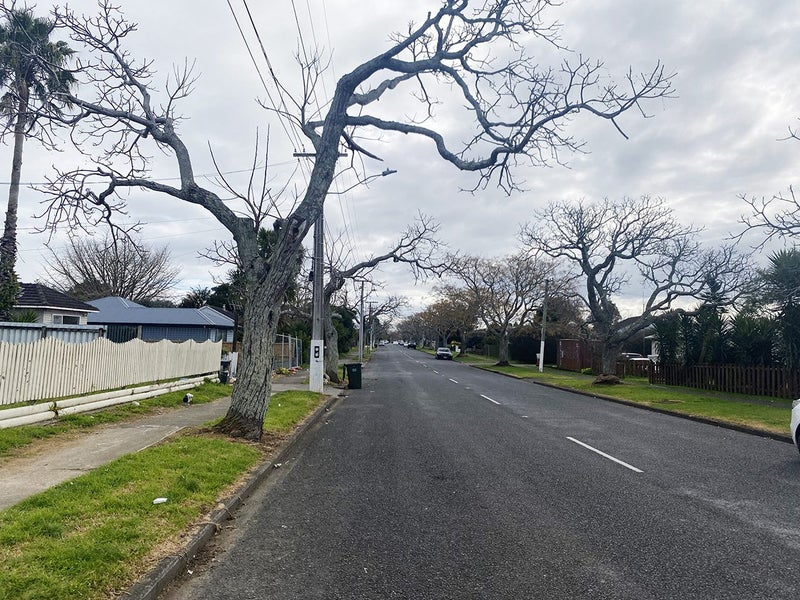 63 Gloucester Road, Manurewa, Manukau City, Auckland - Carousel 12