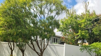 89 Gowing Drive, Meadowbank, Auckland - Carousel 1