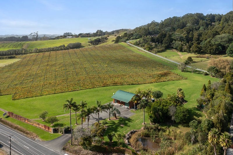 460 Matakana Road, Matakana, Rodney, Auckland - Carousel 1