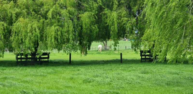 0 Papaitonga Lake Road, Ohau, Ohau - Carousel 1