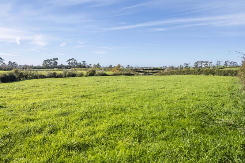 241 Warwick Road, Stratford - Carousel 13