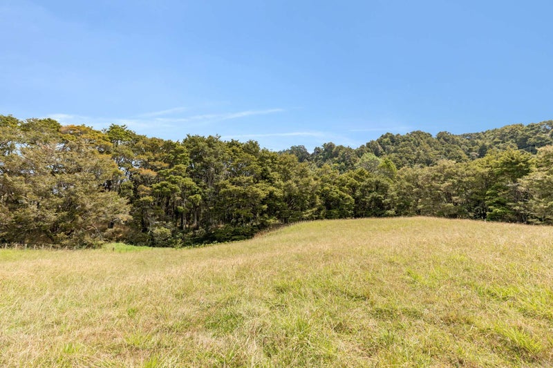 645 West Coast Road, Makarau, Warkworth - Carousel 21