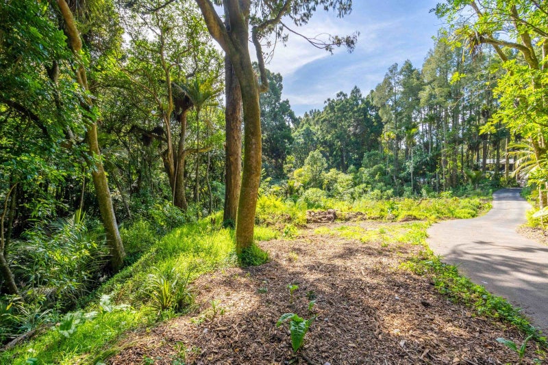 480 Ponga Road, Ōpaheke, Papakura - Carousel 8