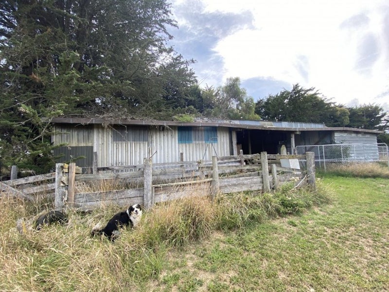 Property Valuation for 110 Revells Road, Flaxton Trade Me Property