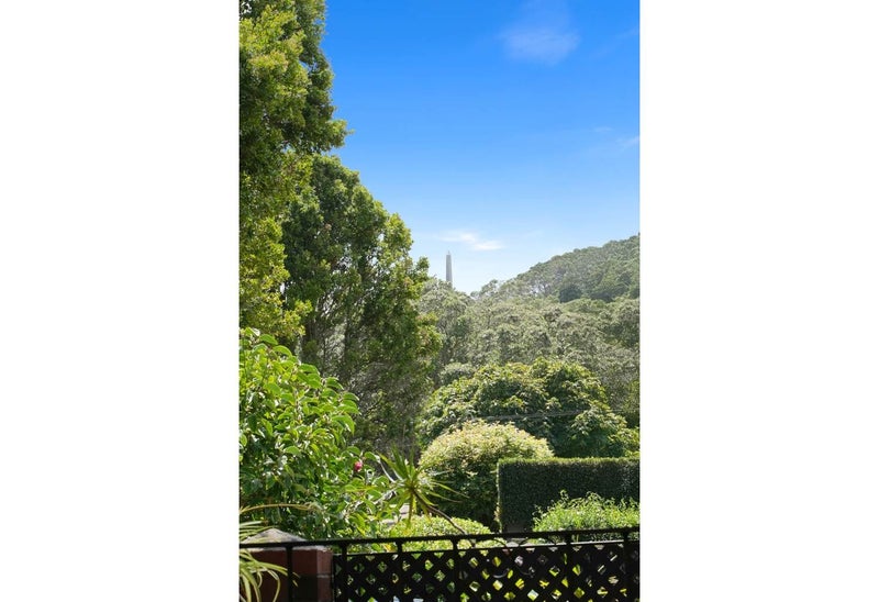 1A Lewin Road, Epsom, Auckland - Carousel 16