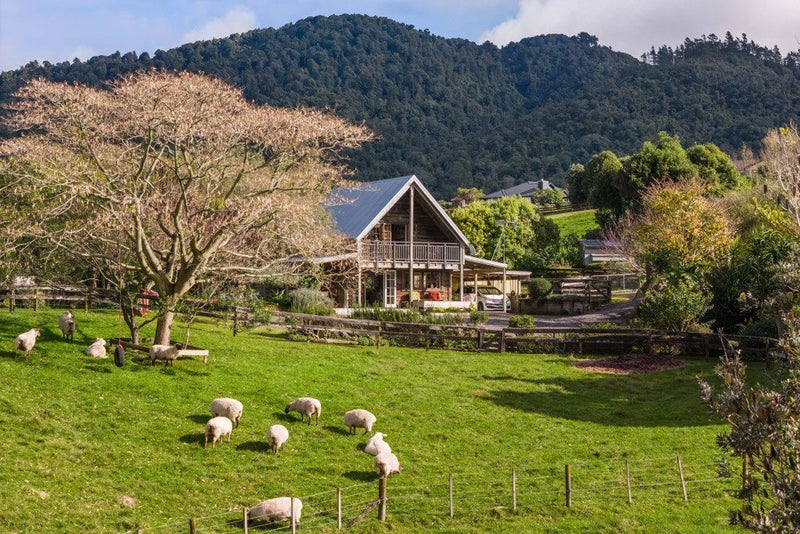 325D REA ROAD, Tahawai, Katikati - Carousel 1