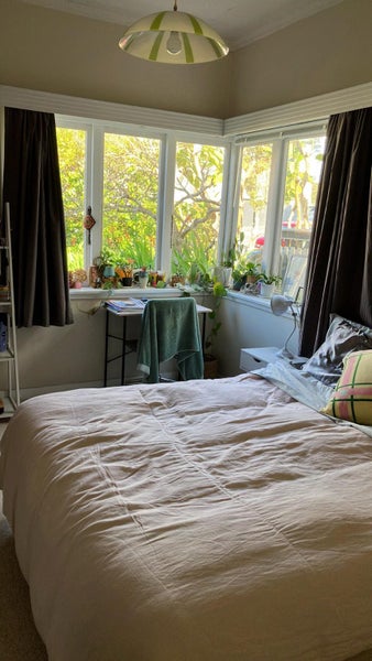 325 Woodstock Rimu, RUATAPU, Ruatapu - Carousel 14