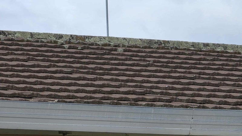 17 Harold Avenue, Kaikohe, Kaikohe - Carousel 22