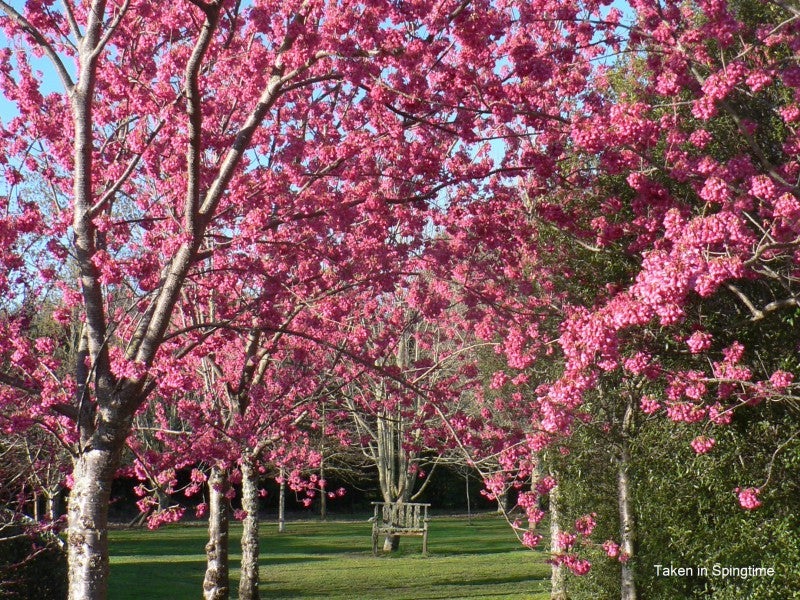 1437 Pohangina Road, Pohangina, Ashhurst - Carousel 2