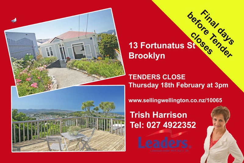 13 Fortunatus Street, Brooklyn, Wellington - Carousel 22