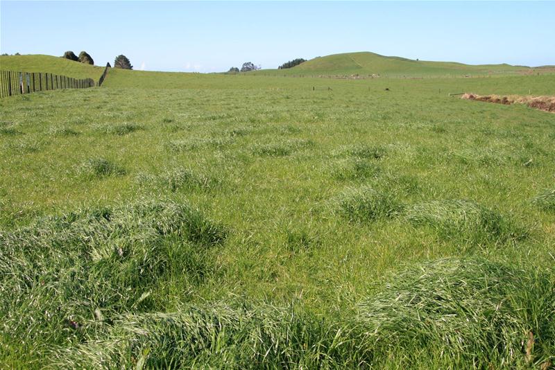 0 Stanley Road, Stratford, Stratford - Carousel 2