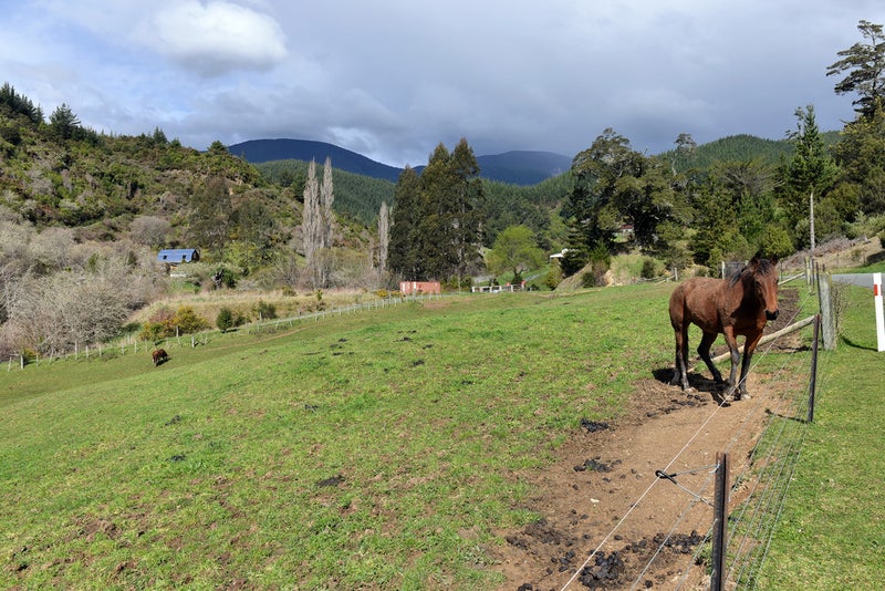 57 Macs Road, Hira, NELSON - Carousel 2