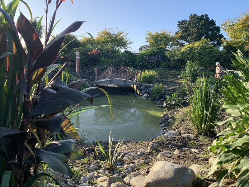 573 Upper Kokatahi Road, Hokitika - Carousel 24