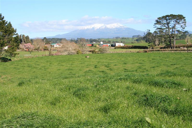 0 Stanley Road, Stratford, Stratford - Carousel 1