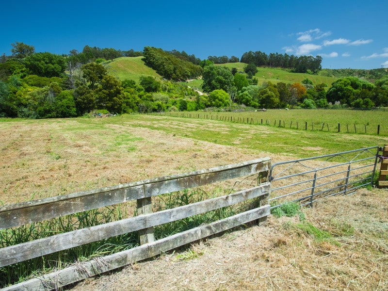 0 Hacche Road, Outer Kaiti, Gisborne - Carousel 10