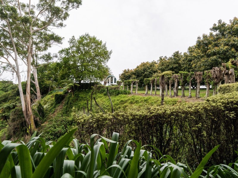 532 State Highway 2, Te Puna, Tauranga - Carousel 26