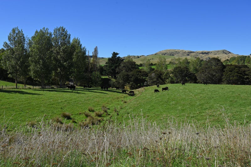 752A Ponatahi Road, Martinborough, Carterton - Carousel 1