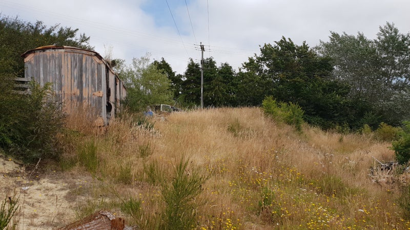 561 Palmerston-Waikouaiti Road, Goodwood, Palmerston - Carousel 2